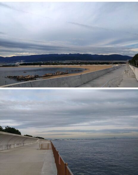 のんびりと・・・